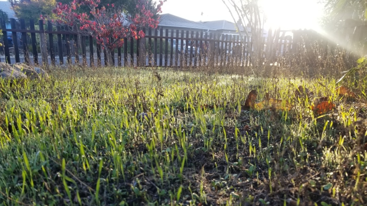 Cover photo for this channel